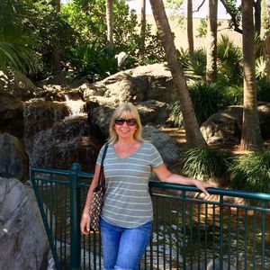 Meet your Posher, Dorothy